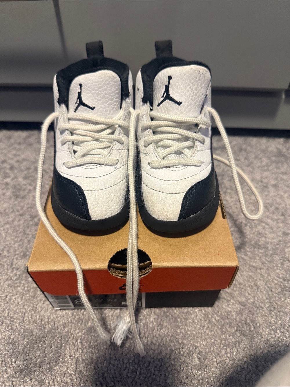 Jordan Retro 12